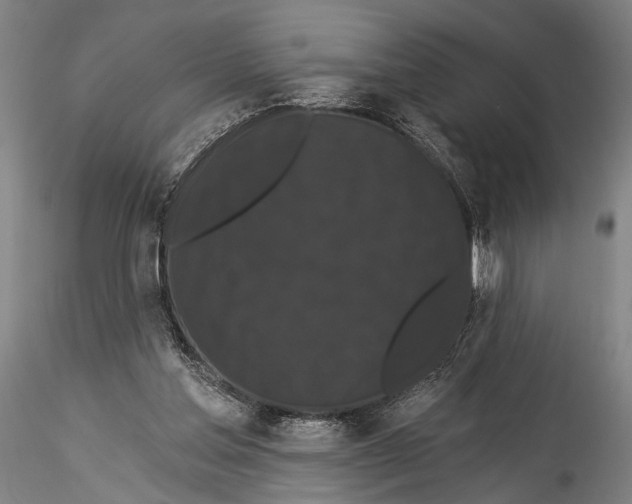 X0000115320205200911301606