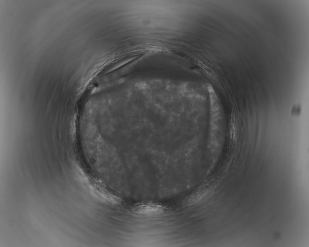 X0000115320206200911301606