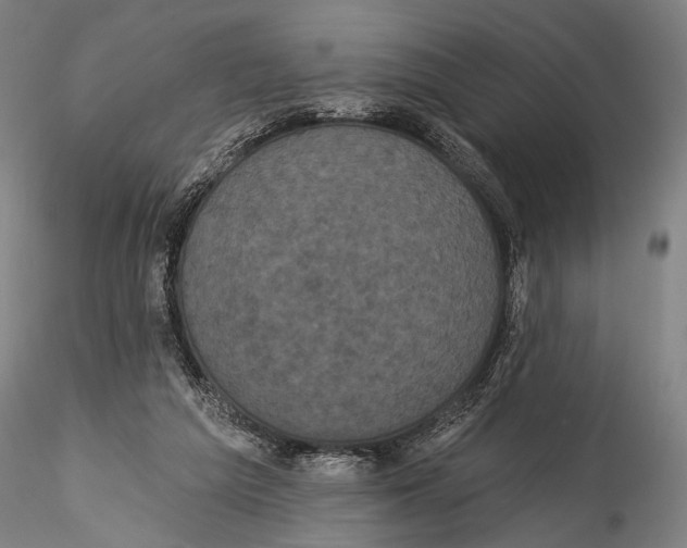 X0000115320209200911301606