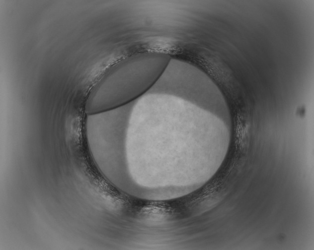 X0000115320211200911301606