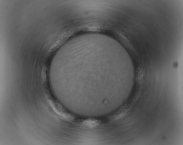 X0000115320213200911301606