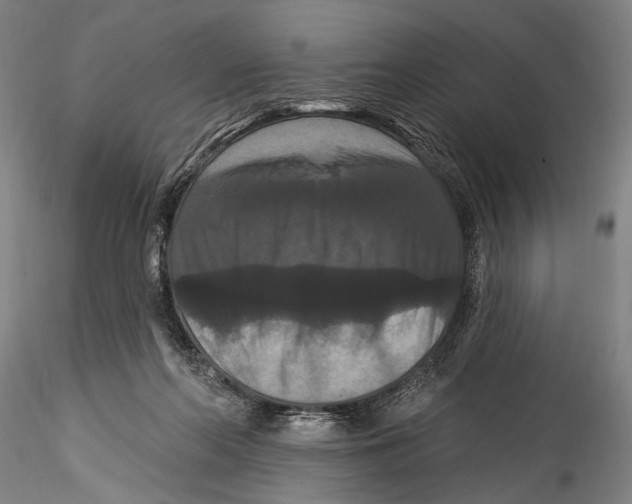 X0000115320214200911301606