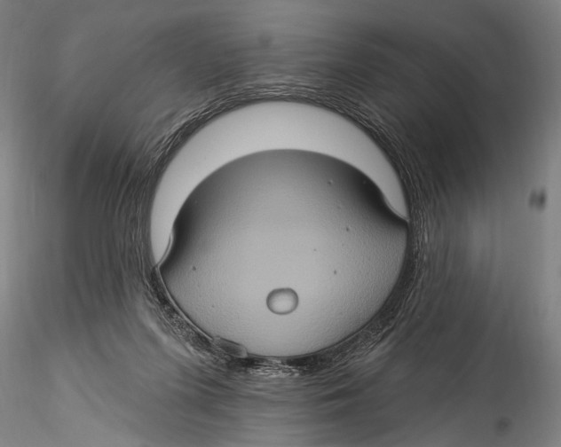 X0000115320215200911301606