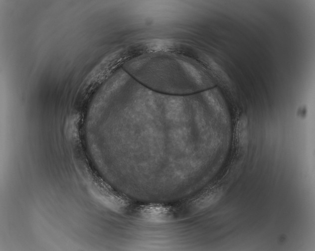 X0000115320217200911301606