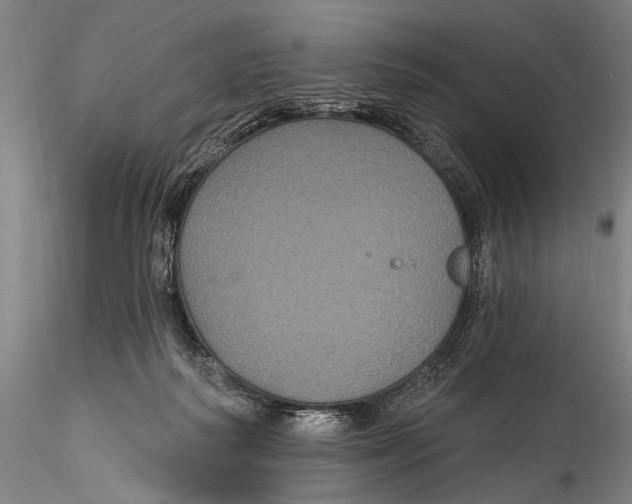 X0000115320218200911301606