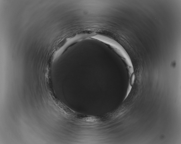 X0000115320219200911301606