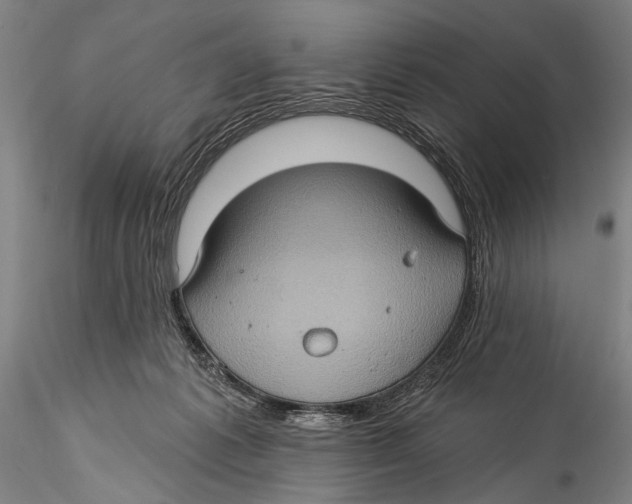 X0000115320221200911301606