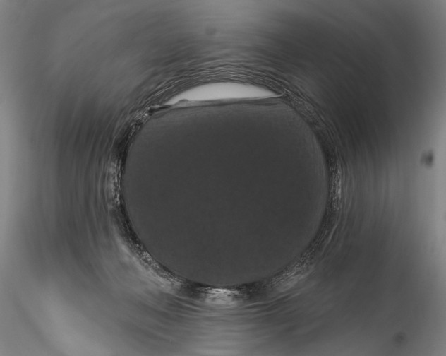 X0000115320222200911301606