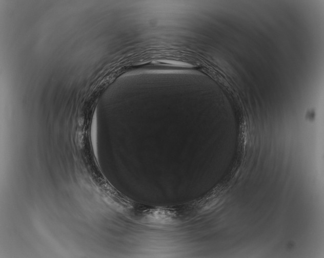 X0000115320223200911301606