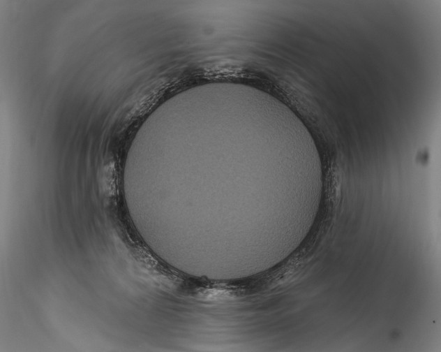 X0000115320224200911301606