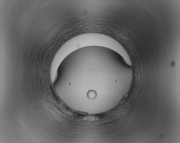 X0000115320225200911301606