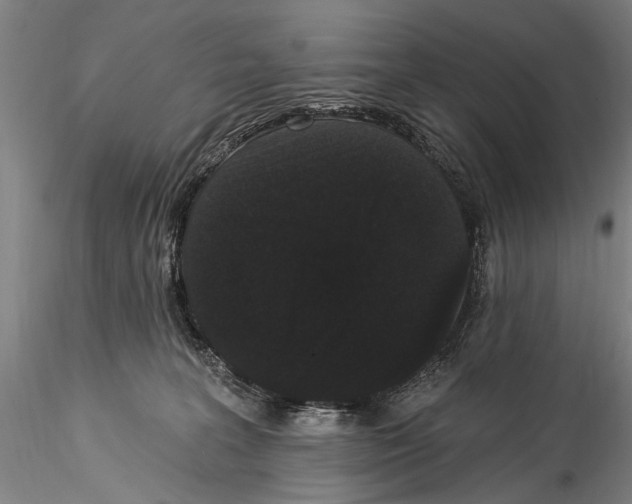 X0000115320227200911301606