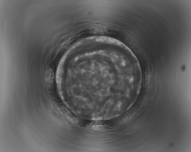 X0000115320228200911301606