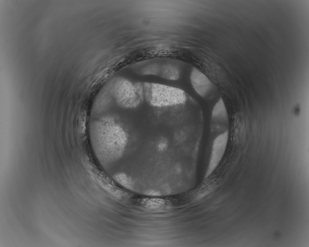 X0000115320230200911301605