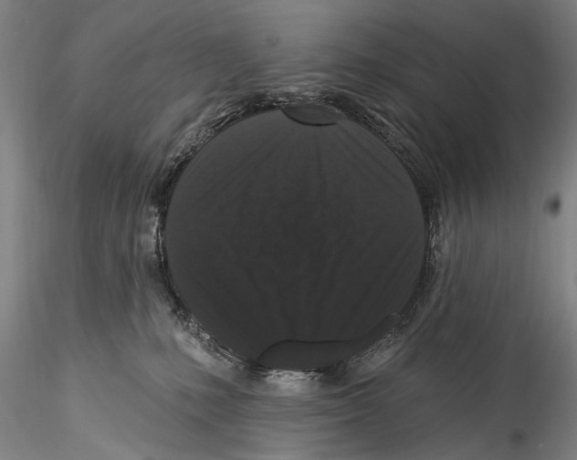 X0000115320231200911301605