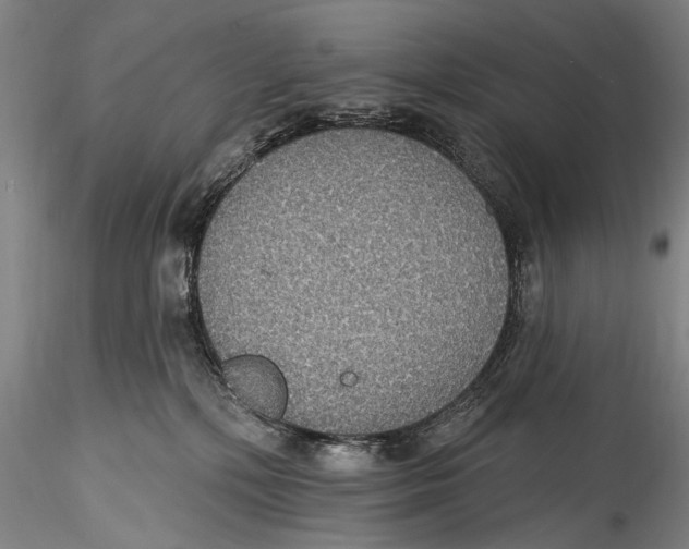 X0000115320232200911301605