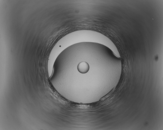 X0000115320233200911301605