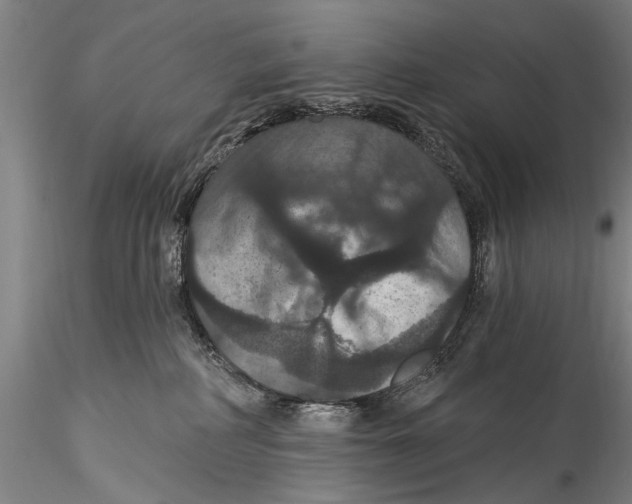 X0000115320234200911301605