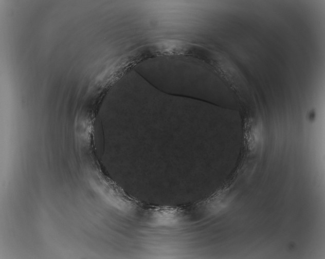 X0000115320235200911301605