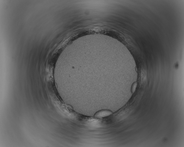 X0000115320236200911301605