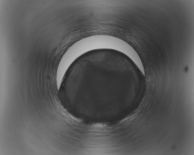 X0000115320237200911301605