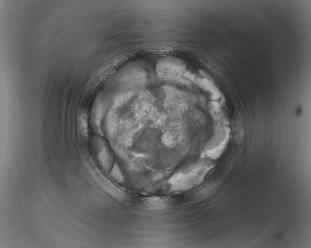 X0000115320238200911301605