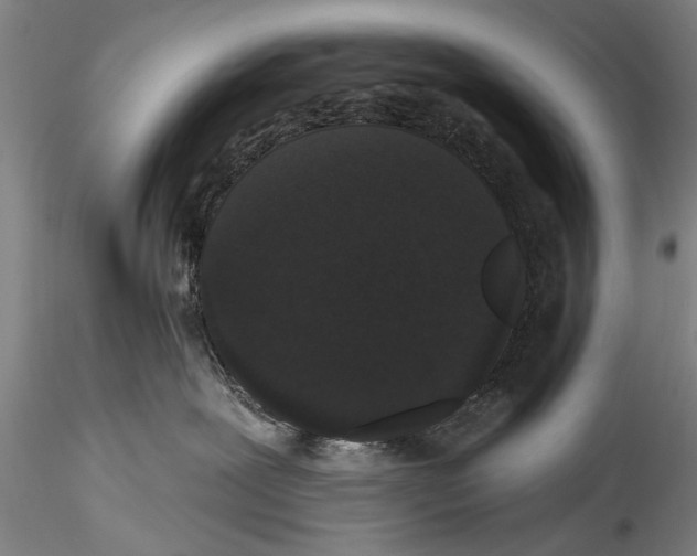 X0000115320239200911301605