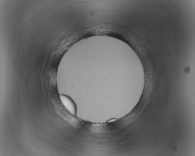 X0000115320240200911301605