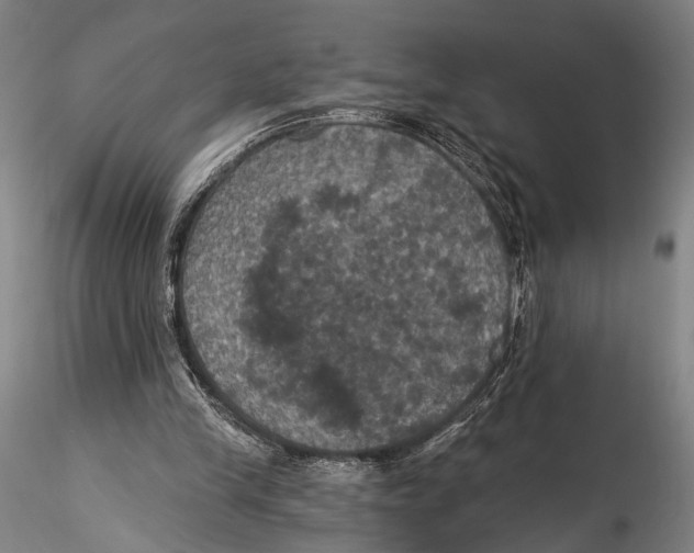 X0000115320245200911301605