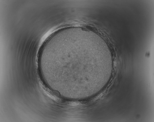 X0000115320246200911301605