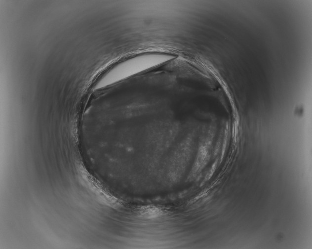 X0000115320249200911301605