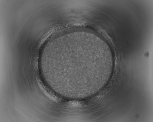 X0000115320250200911301605