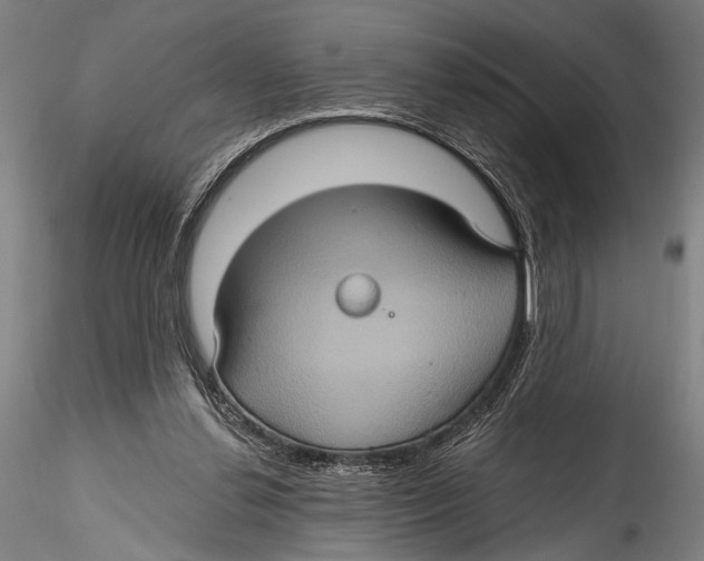 X0000115320252200911301605