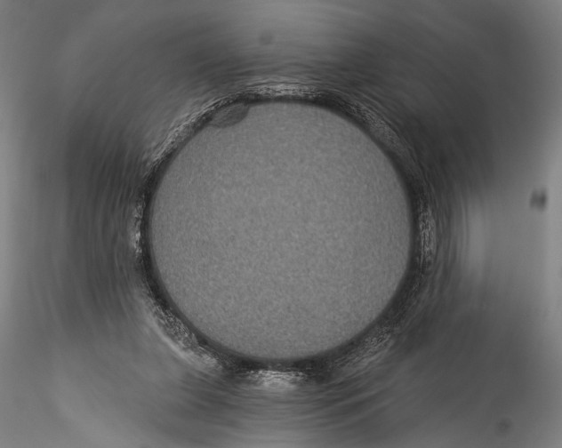 X0000115320255200911301605