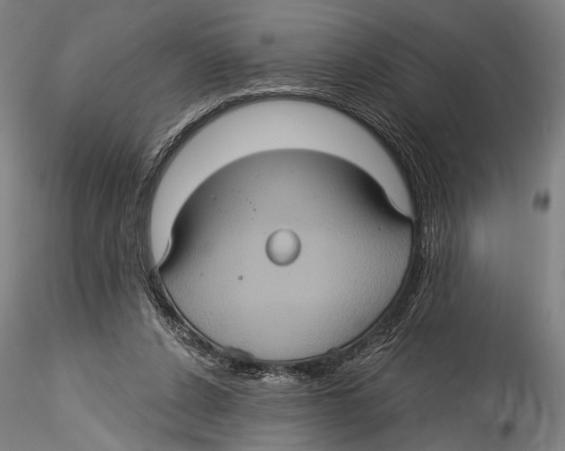 X0000115320256200911301605