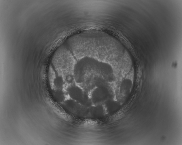 X0000115320257200911301605