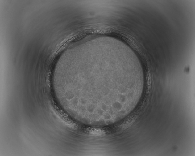 X0000115320258200911301605