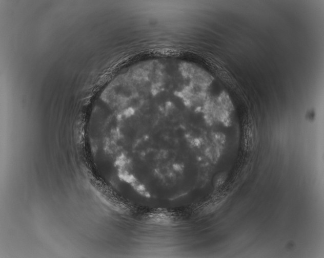 X0000115320259200911301605