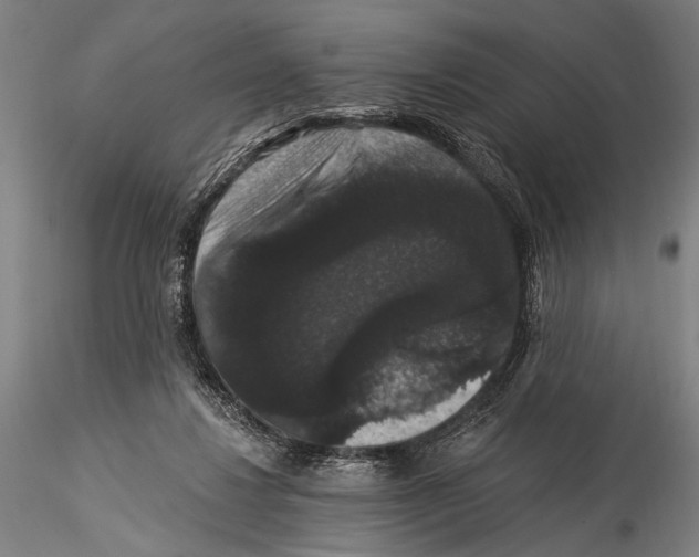 X0000115320260200911301605