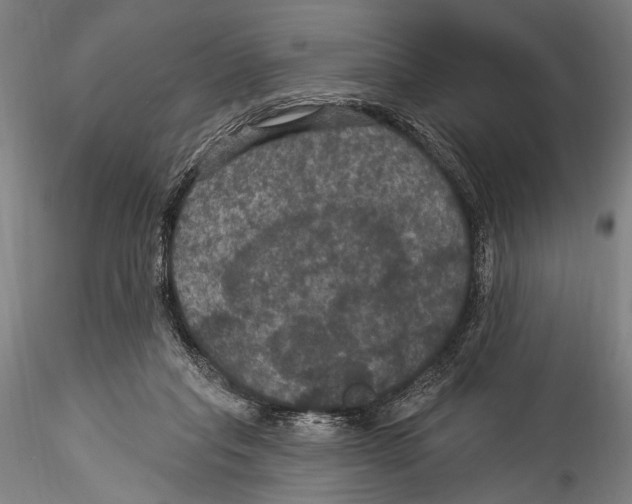 X0000115320261200911301605