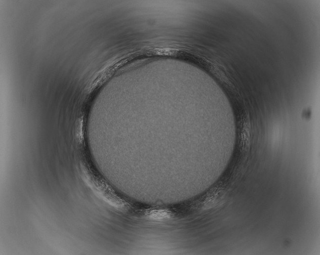 X0000115320262200911301605