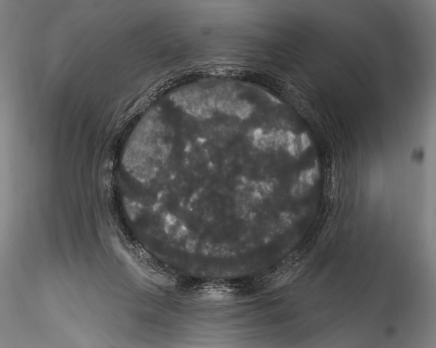 X0000115320263200911301605