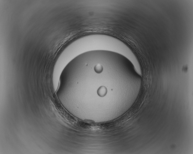 X0000115320264200911301605