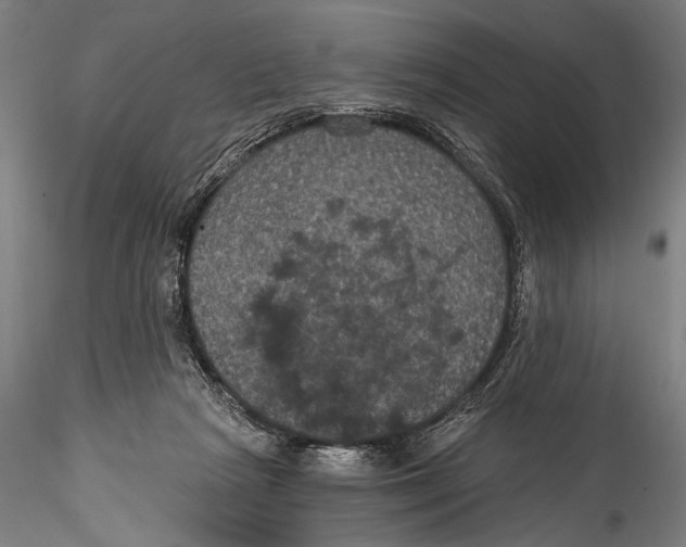 X0000115320265200911301605