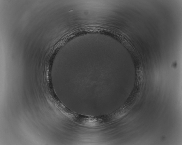 X0000115320267200911301605