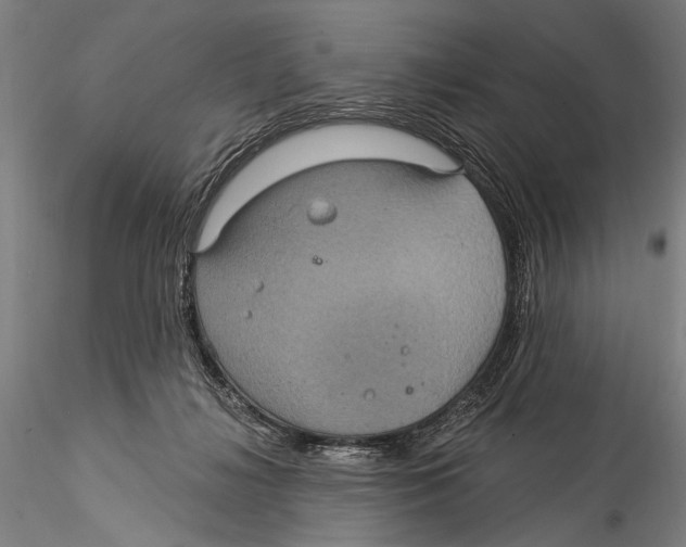 X0000115320268200911301605