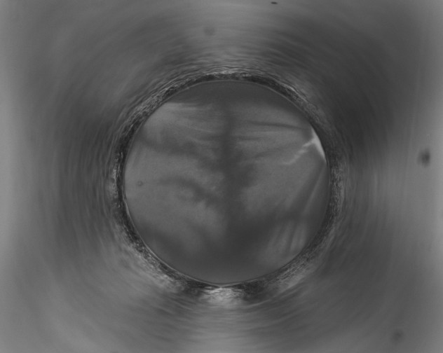 X0000115320269200911301605