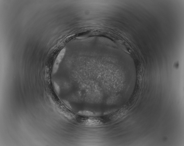 X0000115320270200911301605