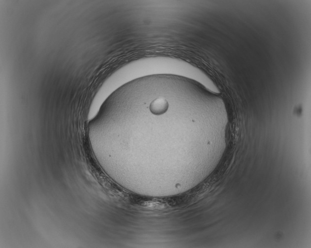 X0000115320272200911301605