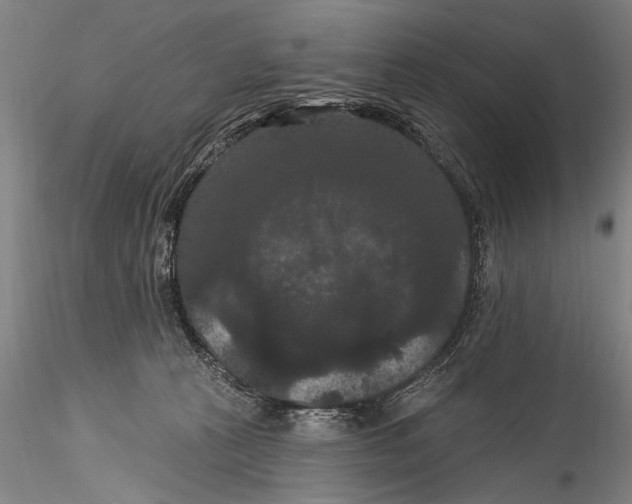 X0000115320273200911301605